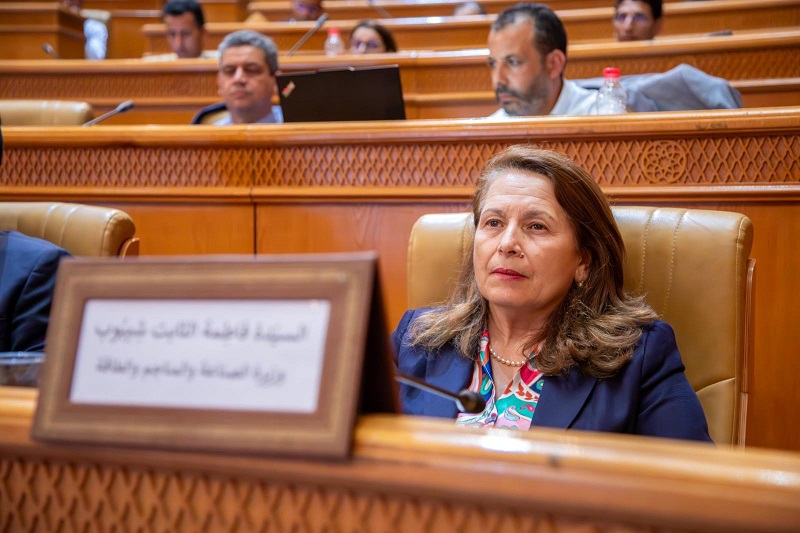  في حوار مع وزيرة الصناعة والطاقة والمناجم..   نواب الغرفة الثانية يطالبون بتحقيق السيادة الطاقية